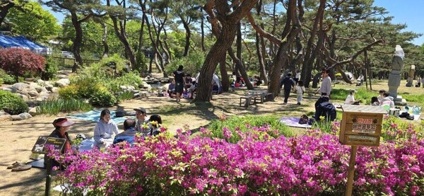 [포토] 제천 의림지 공원, 시민들 봄 소풍 북적
