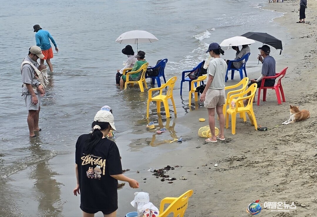 바닷가에는 파라솔과 의자를 펼쳐놓고 발을 담근 채 더위를 식히는 시민들의 모습이 눈에 띄었다. 