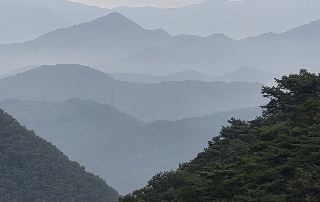[포토] 단양 보발재, 굽잇길 너머 운무